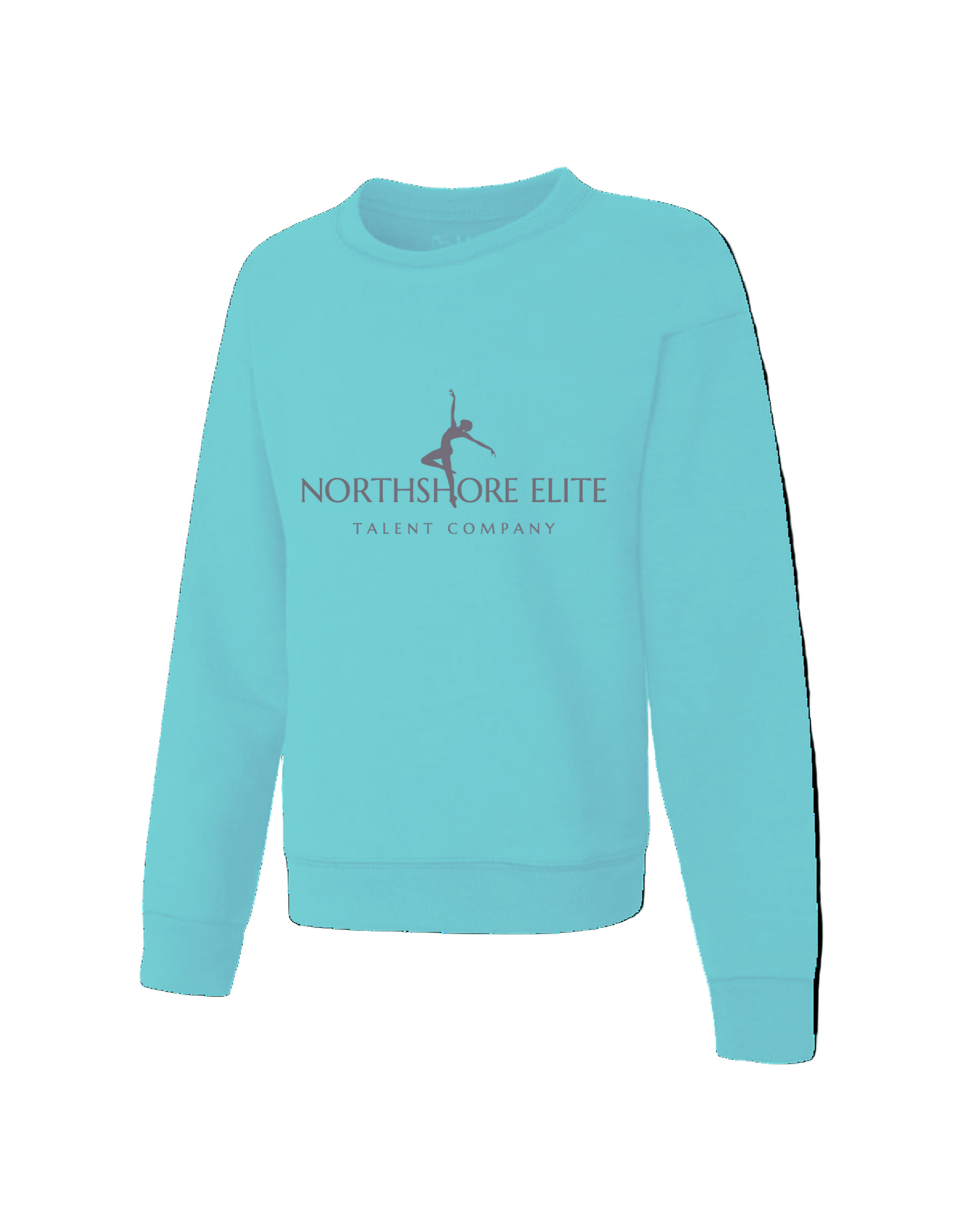 NSETC Teal Sweatshirt
